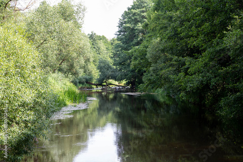Summer landscape with a small river.