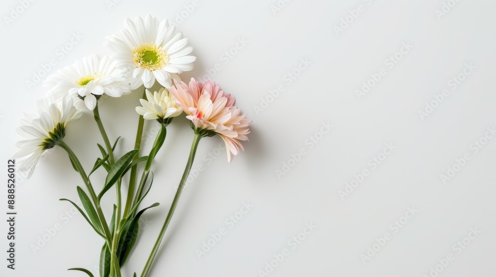A bouquet of white and pink flowers is arranged in a vase A bouquet of white and pink flowers is arranged in a vase