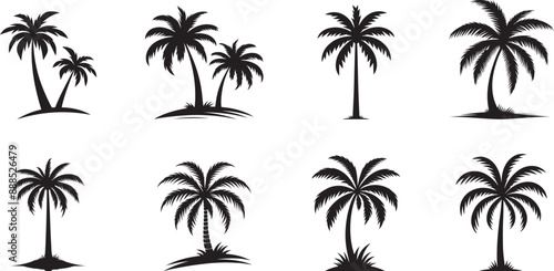 Palm tree icons, palm tree vector logo designs, Palm tree silhouettes, black palm tree vectors, icons,