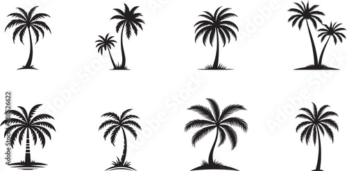 Palm tree icons, palm tree vector logo designs, Palm tree silhouettes, black palm tree vectors, icons,