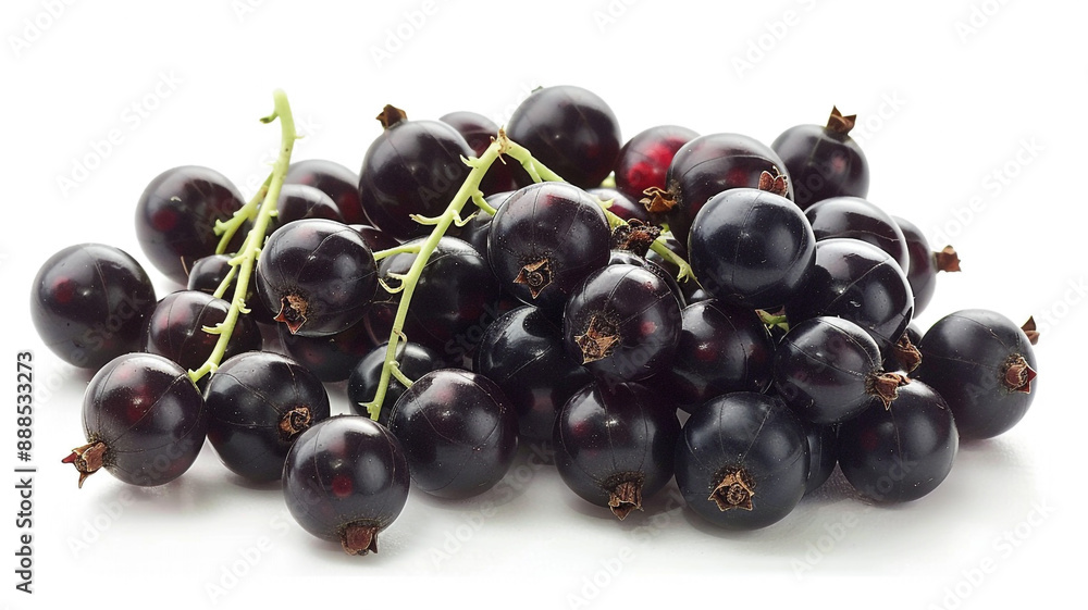 Fresh purple grapes seedless fruit on white background a staple food. fresh grapes, purple grapes, seedless grapes, grapes on white background, fruit photography, staple food, fresh fruit, Fresh purple grapes seedless fruit on white background a staple food. fresh grapes, purple grapes, seedless grapes, grapes on white background, fruit photography, staple food, fresh fruit,