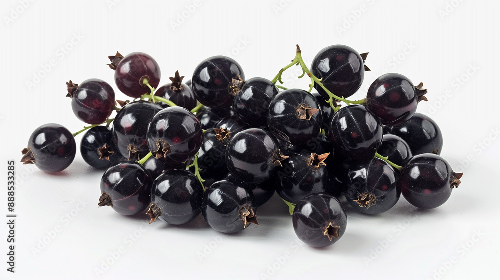 Fresh purple grapes seedless fruit on white background a staple food. fresh grapes, purple grapes, seedless grapes, grapes on white background, fruit photography, staple food, fresh fruit, Fresh purple grapes seedless fruit on white background a staple food. fresh grapes, purple grapes, seedless grapes, grapes on white background, fruit photography, staple food, fresh fruit,