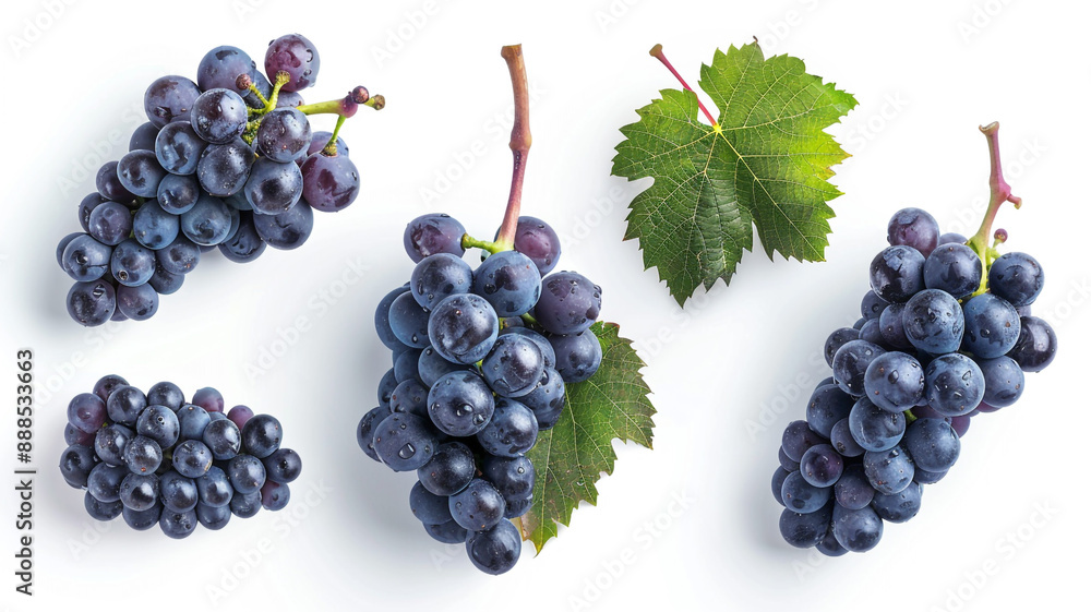 custom made wallpaper toronto digitalFresh purple grapes seedless fruit on white background a staple food. fresh grapes, purple grapes, seedless grapes, grapes on white background, fruit photography, staple food, fresh fruit,