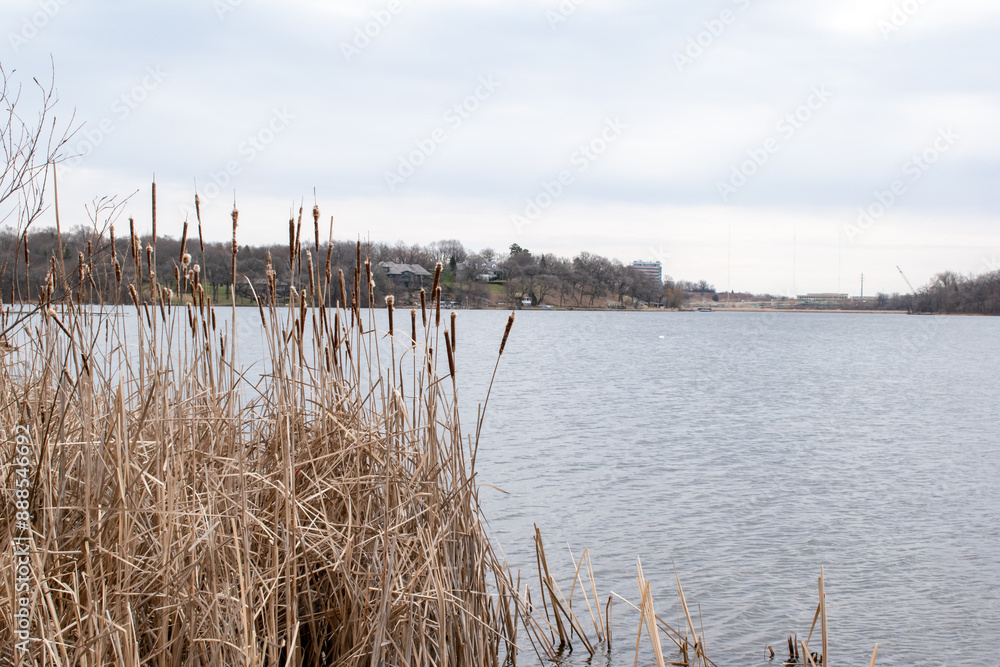 Views of a Minnesota lake on a cloudy day Views of a Minnesota lake on a cloudy day