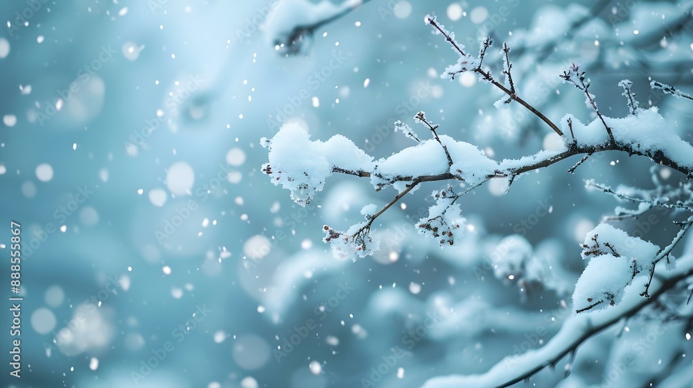 Snow-covered tree branches in a winter garden Snow-covered tree branches in a winter garden