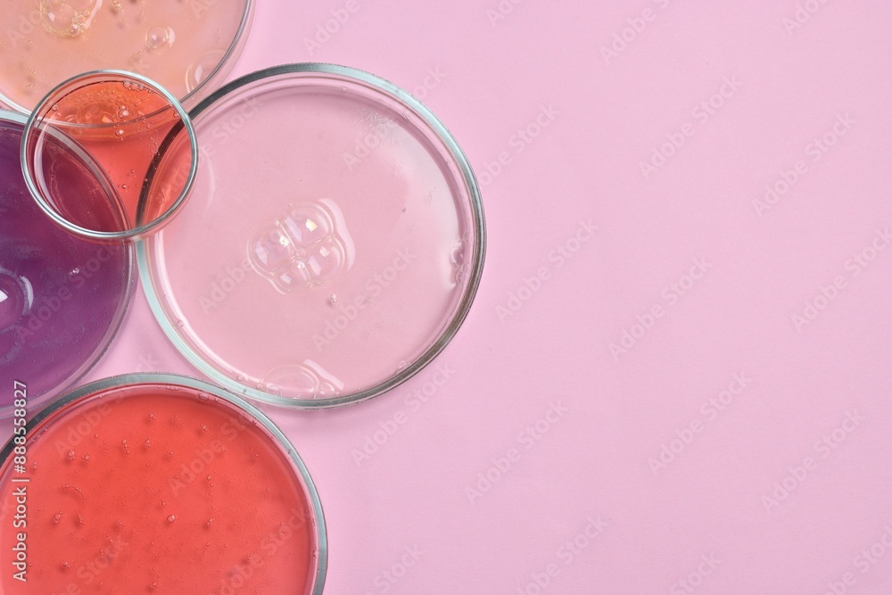 Petri dishes with samples on pink background, top view. Space for text Petri dishes with samples on pink background, top view. Space for text