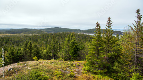 Scenic view from Weasel Head, a quaint hill perched on a peninsula nestled between Cottle's Bay and Intricate Harbour in the Bay of Exploits, Newfoundland.
 photo