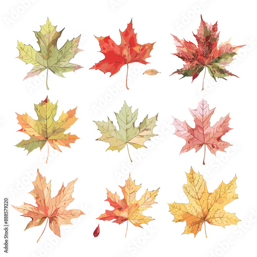 Set of 9 watercolor painted autumn maple leaves, isolated on white background. Perfect for fall design projects, greeting cards, and more.