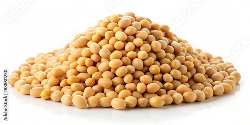 Close up of isolated soybean on alpha background, soybean, close up, isolated, alpha background, legume, crop