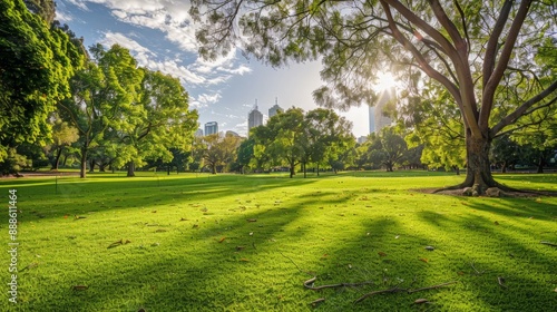 Fototapeta Naklejka Na Ścianę i Meble -  A large park with a tree in the middle and a city in the background