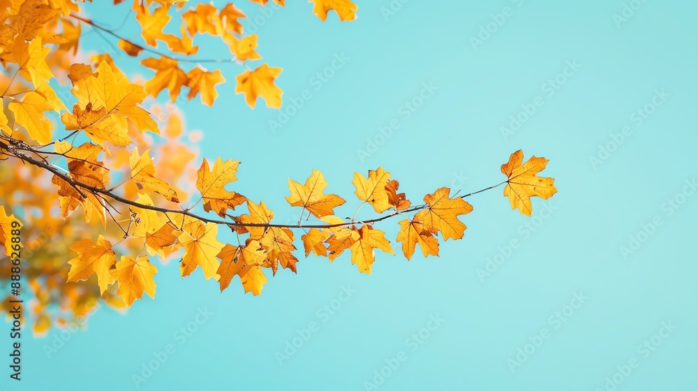 Transition to cool, clear autumn days, Transition, Cool, Clear Transition to cool, clear autumn days, Transition, Cool, Clear