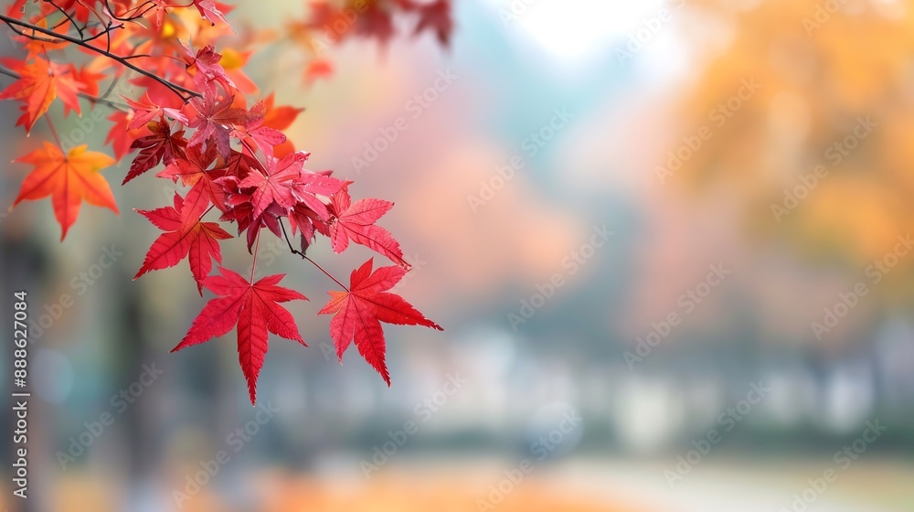 Windy and invigorating days of October, October, Windy, Invigorating Windy and invigorating days of October, October, Windy, Invigorating