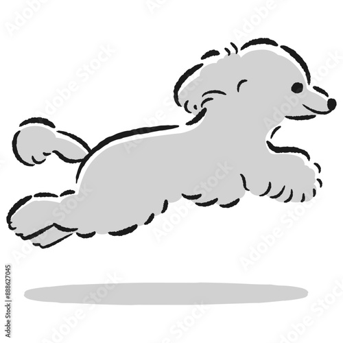 走るトイプードルのかわいい手描きイラスト