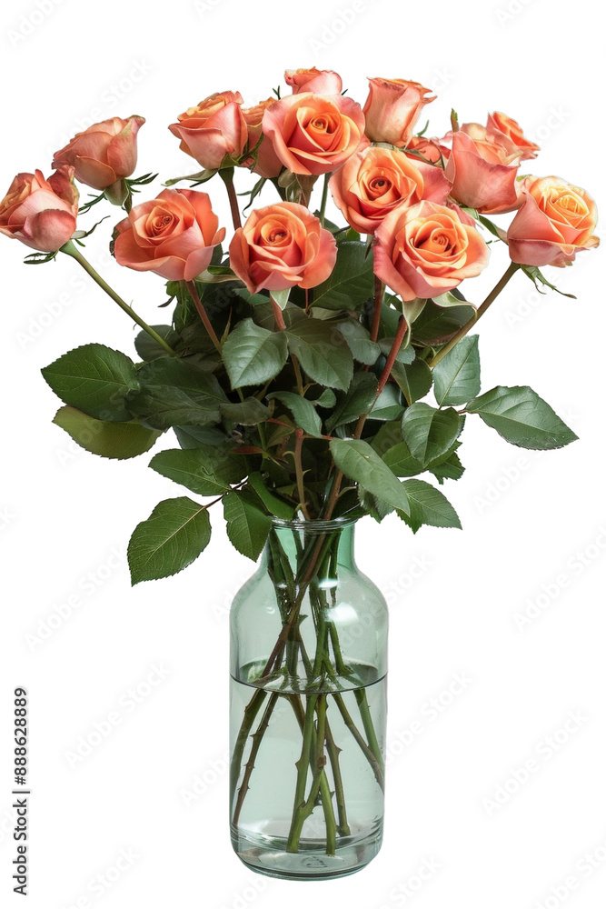 Obraz premium Elegant Peach Roses in Glass Vase