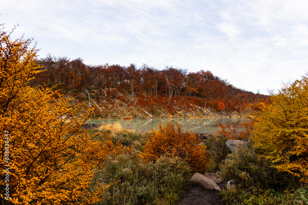 Fototapeta premium Outono no Ushuaia, na trilha da Laguna Esmeralda