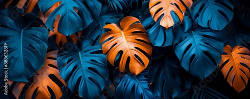 Vibrant orange and blue monstera leaves creating a stunning tropical foliage pattern. © Anatthaphon