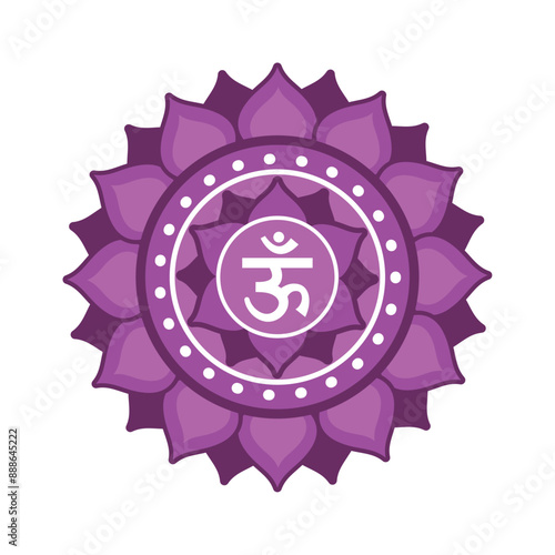 sahasrara crown chakra