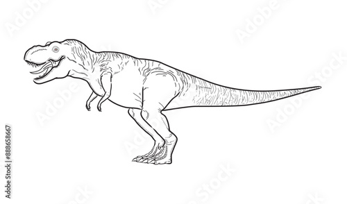 Vector black line drawing of a dinosaur T-Rex in a standing position.