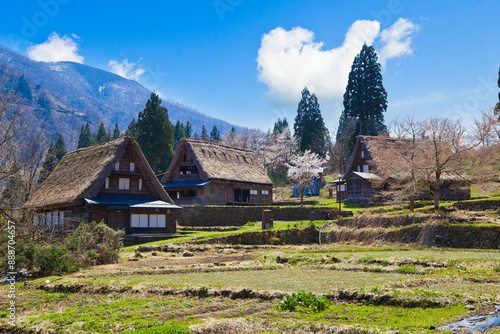 Gokayama village, World Heritage Site in Toyama, Japan.