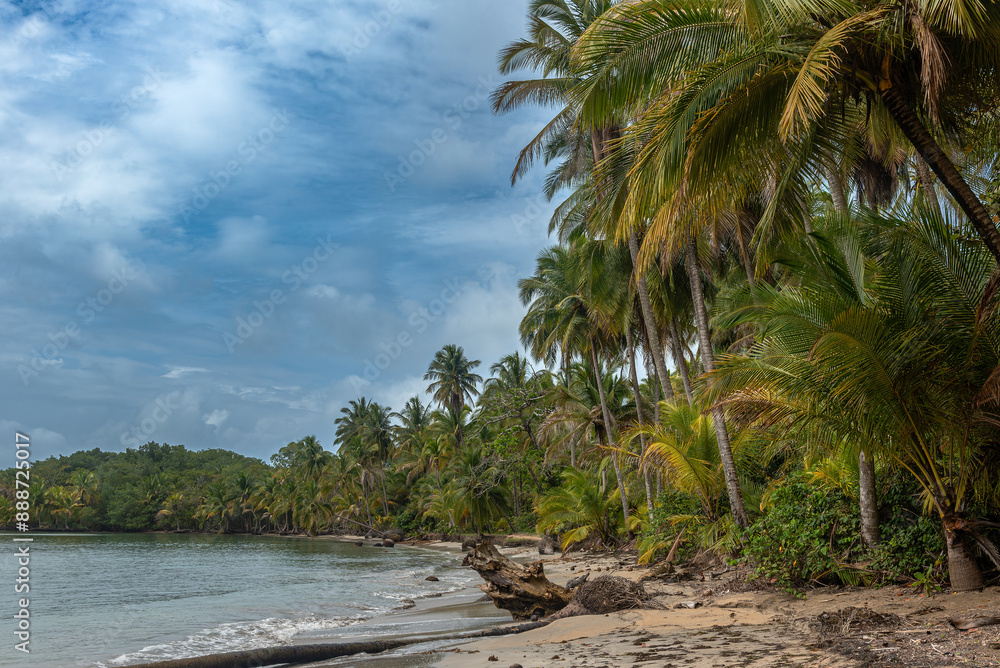 Panoramic view of the beach of Boca del Drago, Bocas del Toro, Panama