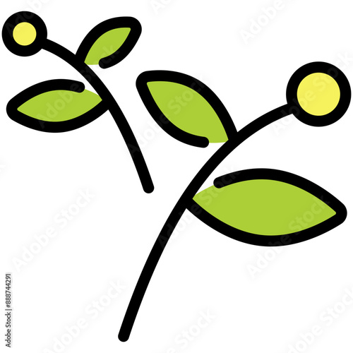 herbal filled line icon