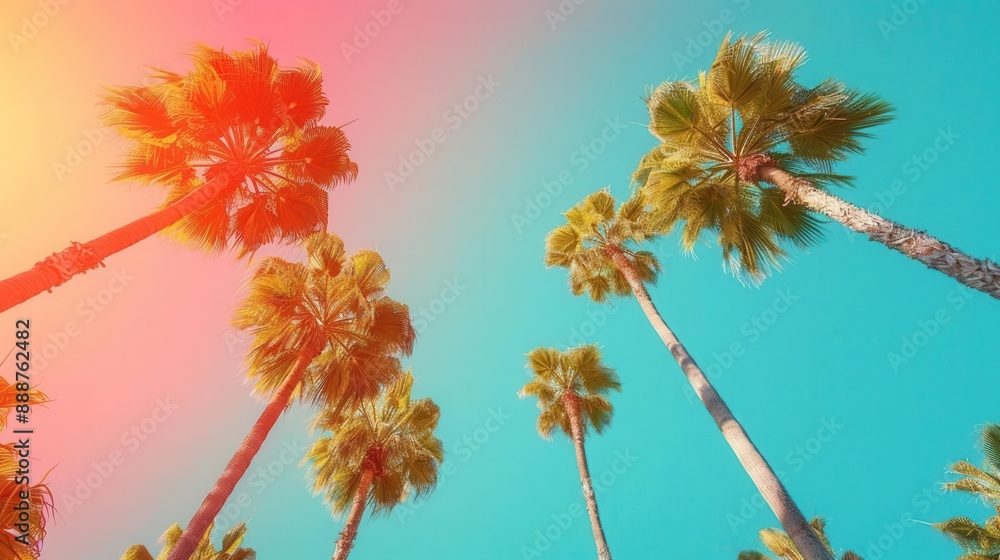 Obraz premium Vibrant background gradient from orange to blue, worm's-eye view of tall palm trees against clear sky, space for copy