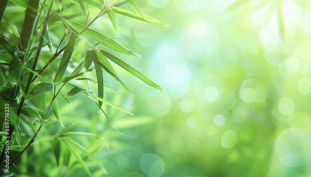 Text space over blurred background with bamboo design Text space over blurred background with bamboo design