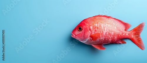 head reflected in blue water background