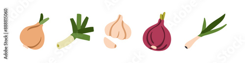 Red onion bulb, garlic and clove, leek, scallion, shallot. Fresh pungent spicy vegetables, ingredients. Healthy flavored raw food produce. Flat vector illustration isolated on white background