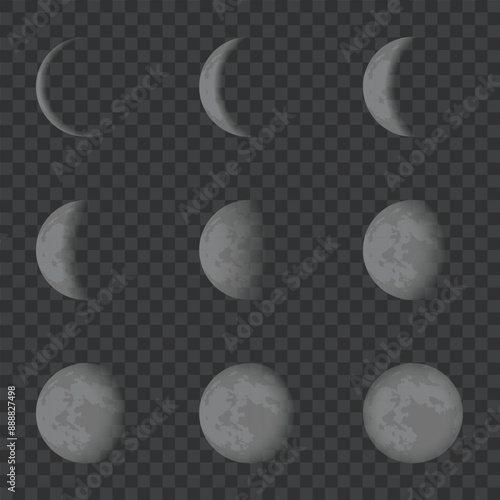 Vector moon phases, eight stages, crescent to full, transparent background. Vector