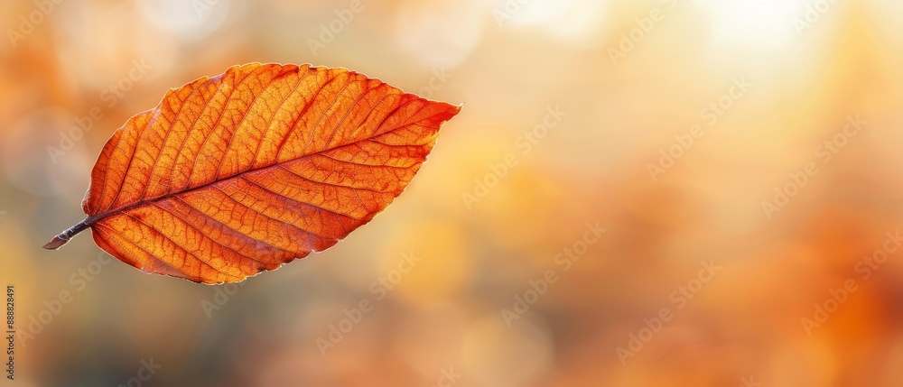 A tight shot of a tree leaf against a softly blurred backdrop of neighboring foliage on branches A tight shot of a tree leaf against a softly blurred backdrop of neighboring foliage on branches
