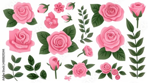 Vintage watercolor elements of pink roses and garden flowers on a white background. Flat handdrawn illustration.