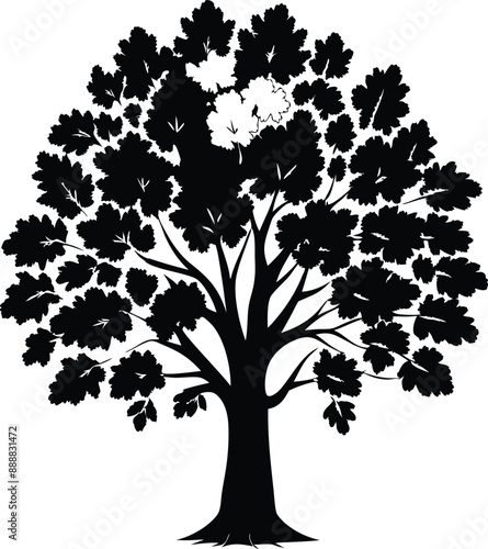 tree silhouette illustration nature, tree, summer, leaf, plant, forest, background, abstract, flora, life, leafy, evergreen