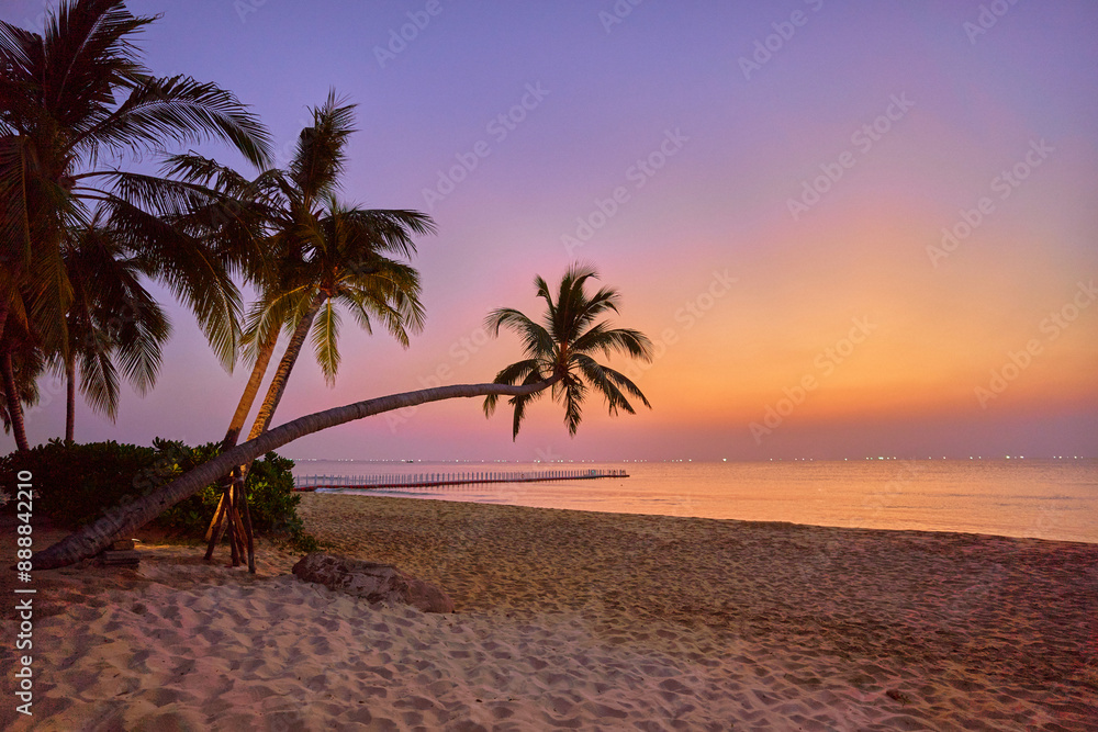 Wallpaper of coast with tall palm trees at sunset with gradient idyllic sky Wallpaper of coast with tall palm trees at sunset with gradient idyllic sky