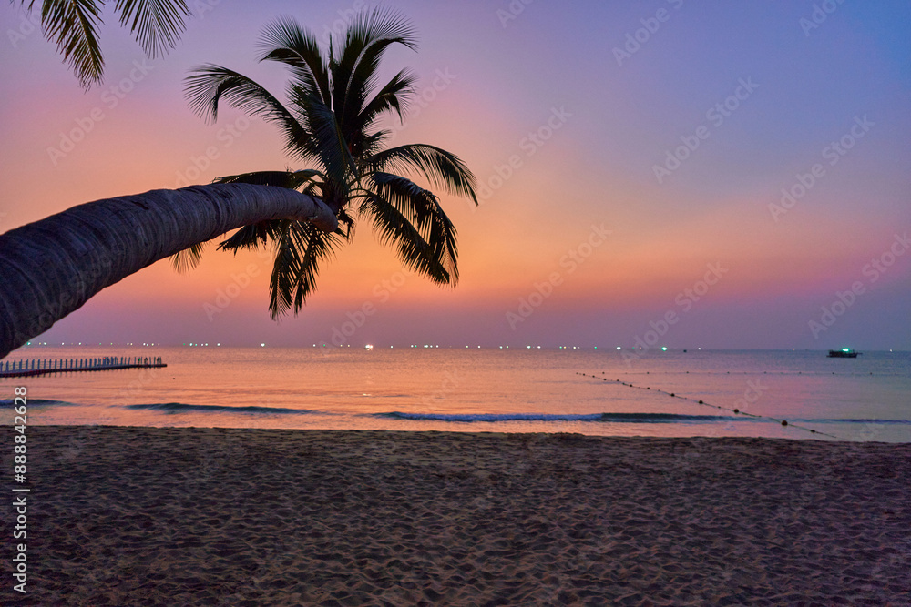 Fototapeta premium Wallpaper of coast with tall palm trees at sunset with gradient idyllic sky