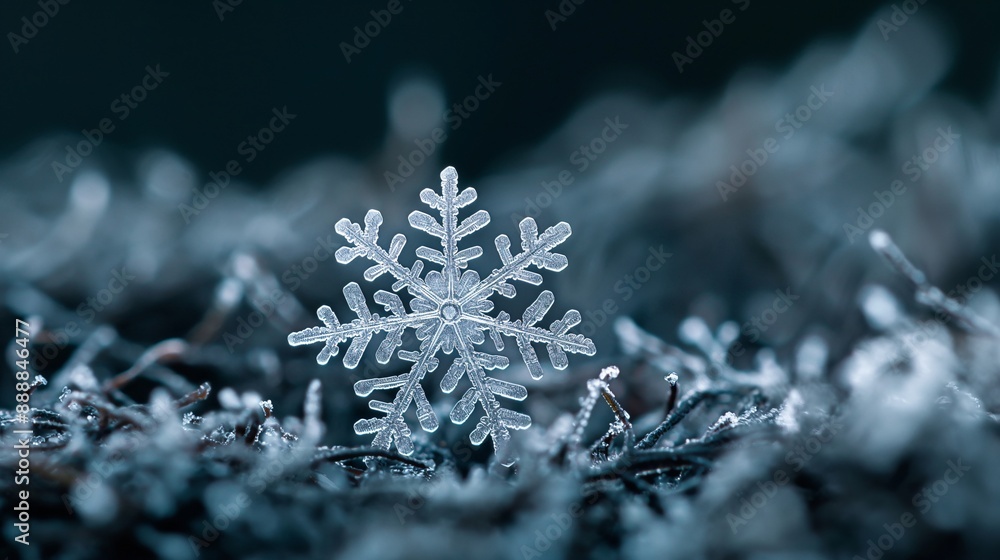Extreme macro shot of a snowflake on dark background, intricate crystalline structure visible, shallow depth of field highlighting central pattern Extreme macro shot of a snowflake on dark background, intricate crystalline structure visible, shallow depth of field highlighting central pattern