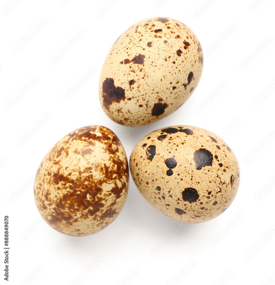 Fresh quail eggs on white background Fresh quail eggs on white background