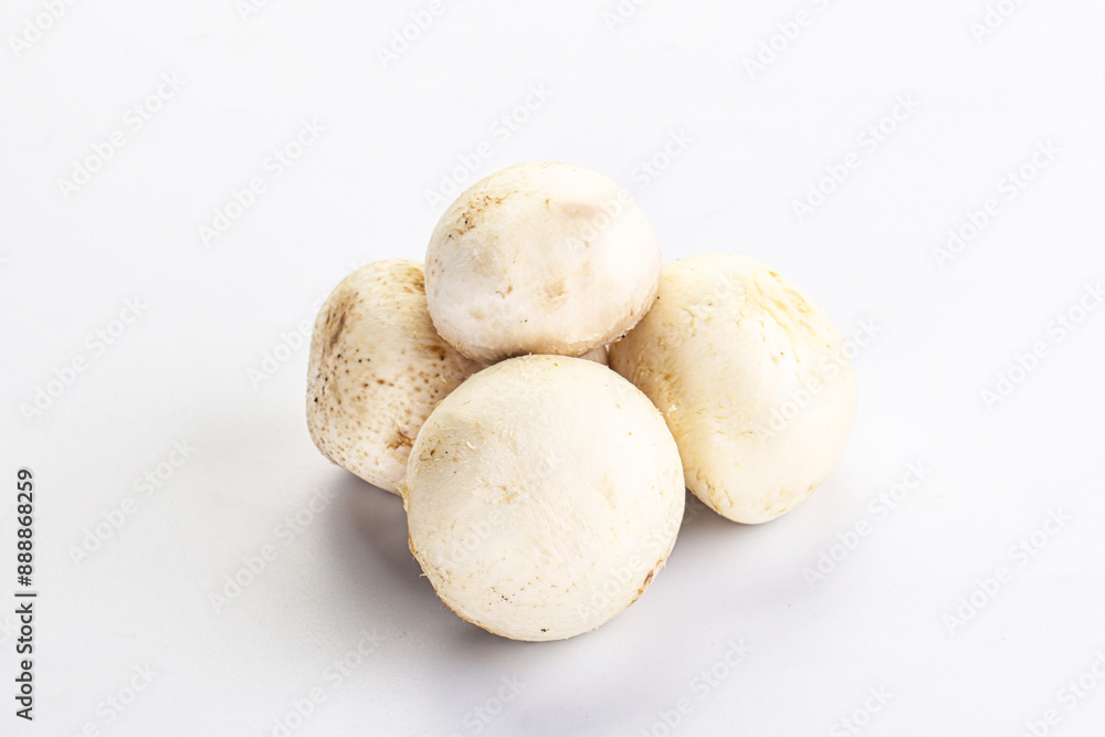 Natural organic ripe champignon mushrooms Natural organic ripe champignon mushrooms