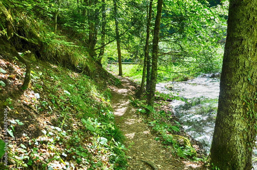 Path in the forest in Yedi Goller (Seven Lakes) National Park, Bolu, Turkey Path in the forest in Yedi Goller (Seven Lakes) National Park, Bolu, Turkey