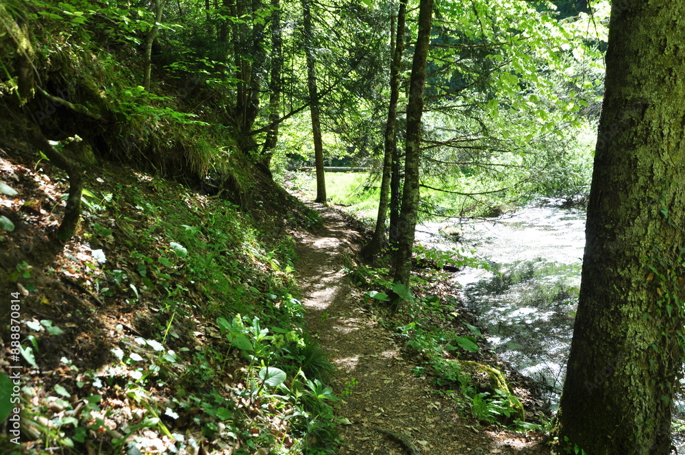 Path in the forest in Yedi Goller (Seven Lakes) National Park, Bolu, Turkey Path in the forest in Yedi Goller (Seven Lakes) National Park, Bolu, Turkey
