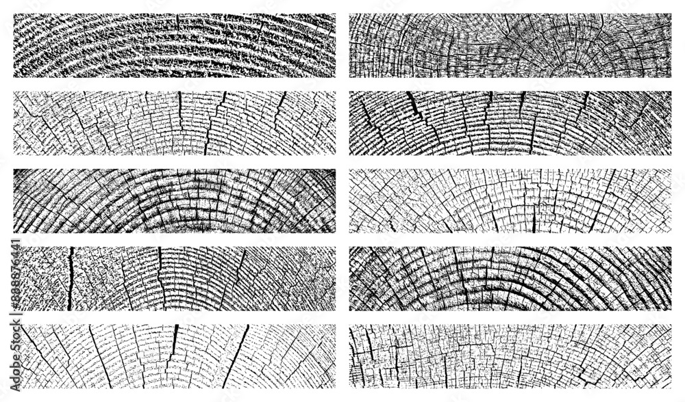 Set of distressed wood texture. Wooden pattern close-up. Cross section tree rings cut slice. Black grainy texture on white background. Dust overlay textured. Vector illustration, EPS 10.