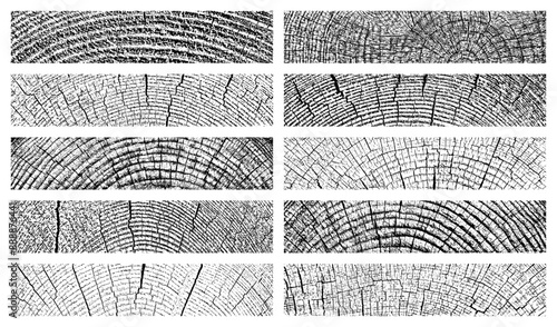 Obraz na płótnie Set of distressed wood texture. Wooden pattern close-up. Cross section tree rings cut slice. Black grainy texture on white background. Dust overlay textured. Vector illustration, EPS 10. w salonie