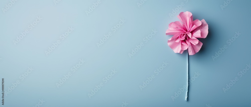 Obraz premium A pink flower on a blue background with a long, tapered stem