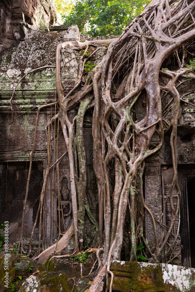 Angkor Thom, ancient temple ruins in Cambodia jungle with tree roots Angkor Thom, ancient temple ruins in Cambodia jungle with tree roots