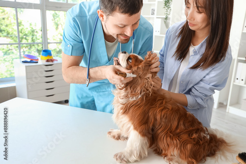 Male veterinarian with owne...