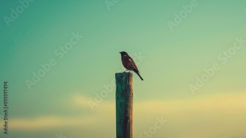 Bird perched on pole with sky in the background