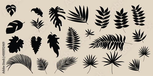 Collection of botanical silhouette element vector. Set of tropical plant, foliage, banana leaf, monstera, palm leaves. Hand drawn of botanical for decor, website, graphic, decorative.