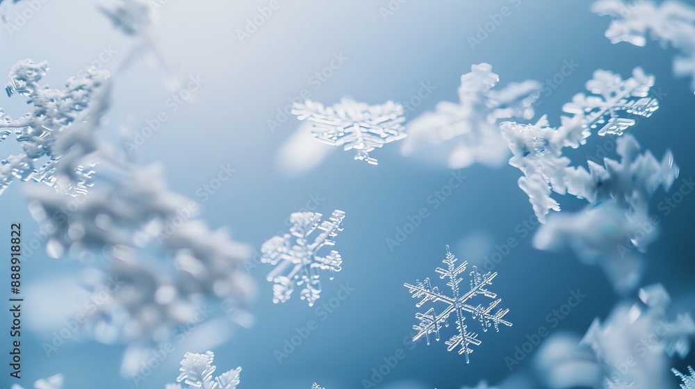 I need to have a picture of snowflakes falling down the sky I need to have a picture of snowflakes falling down the sky