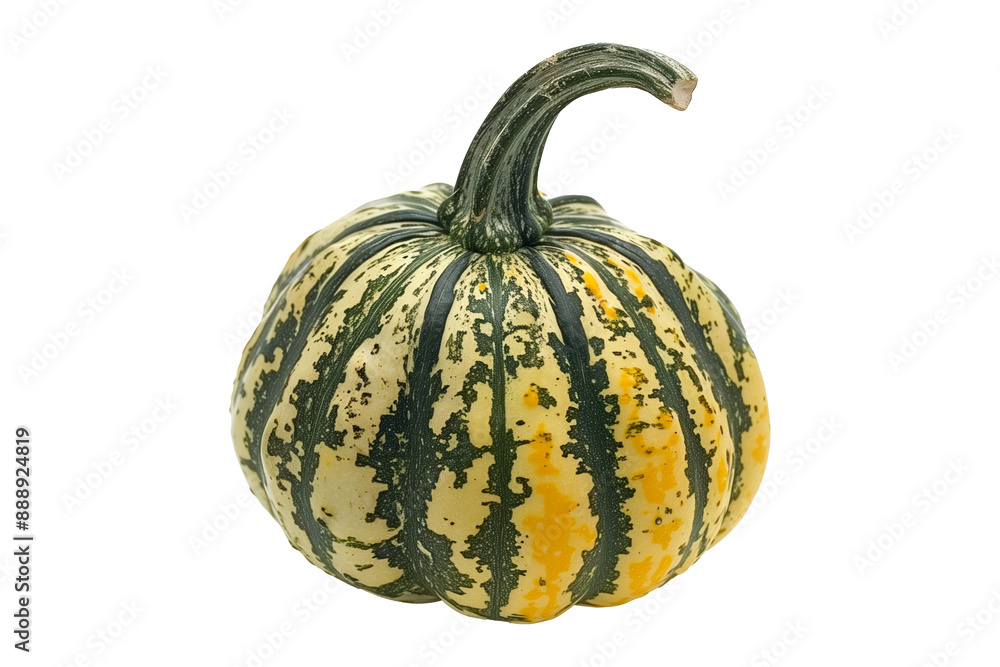 Carnival squash isolated on a white background, great for autumn themes and decorations. Carnival squash isolated on a white background, great for autumn themes and decorations.