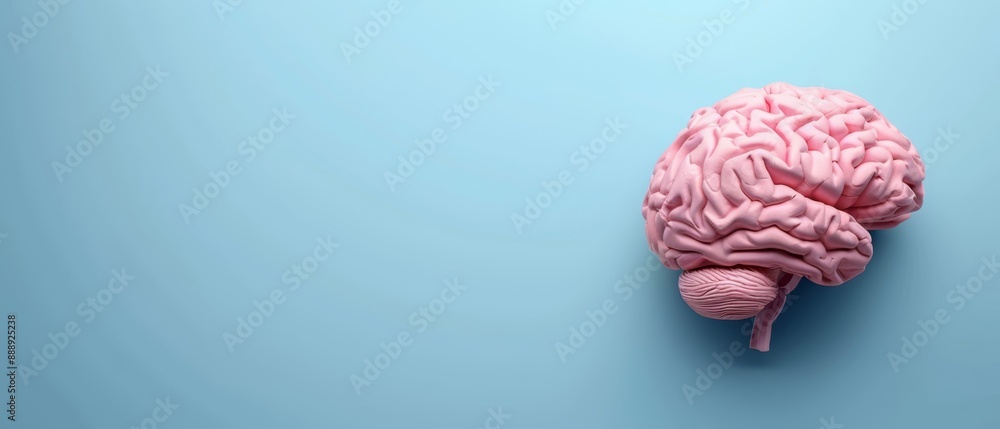 A pink human brain model on a blue background Include text or an image above, if desired 31 tokens..Or, for more space:..A A pink human brain model on a blue background Include text or an image above, if desired 31 tokens..Or, for more space:..A